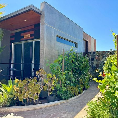 Entre Vides Valle De Guadalupe Dış mekan fotoğraf