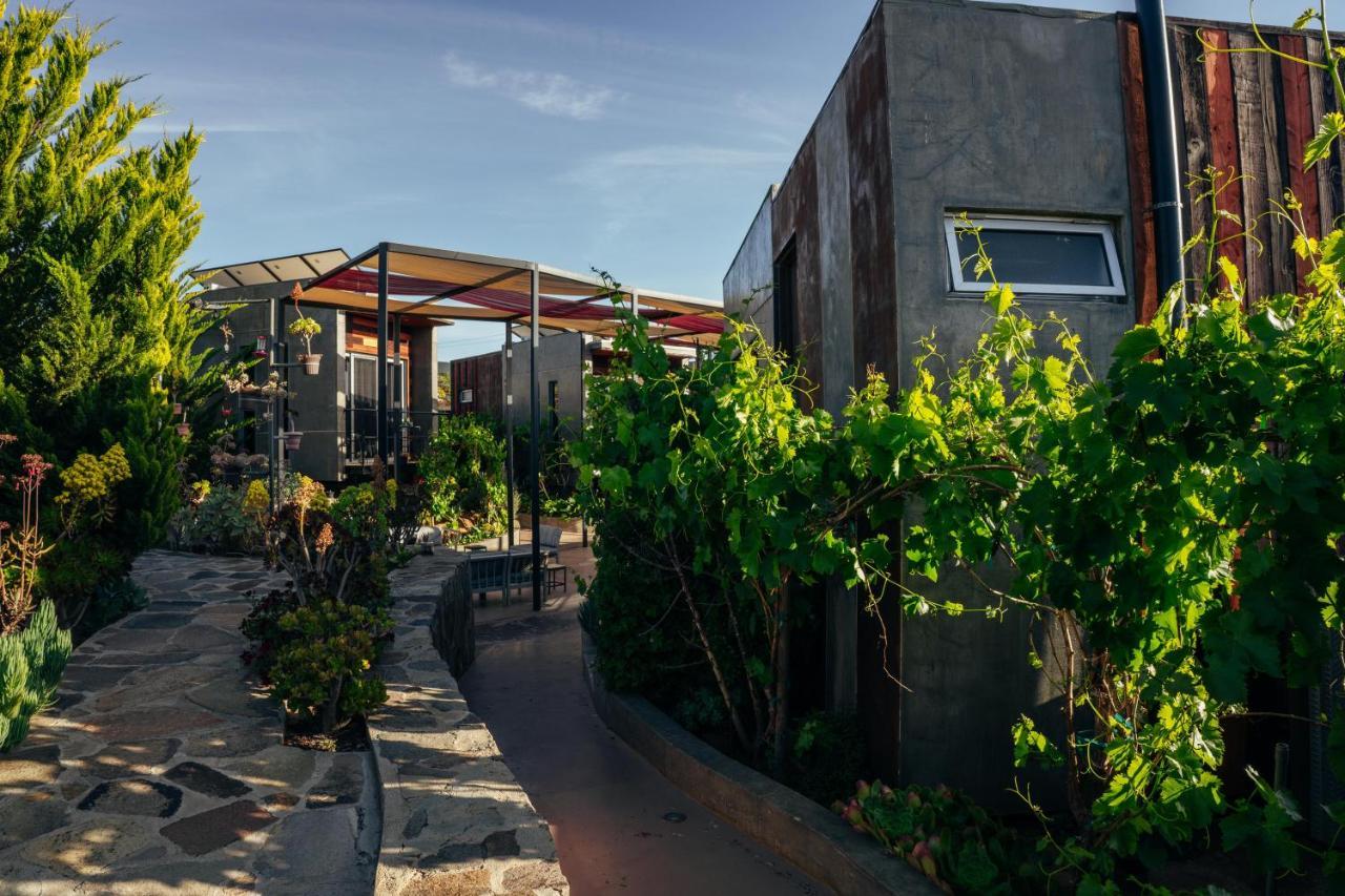 Entre Vides Valle De Guadalupe Dış mekan fotoğraf