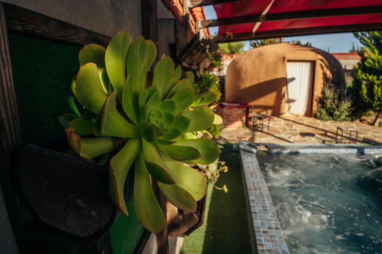 Entre Vides Valle De Guadalupe Dış mekan fotoğraf