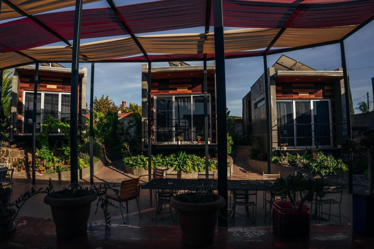 Entre Vides Valle De Guadalupe Dış mekan fotoğraf