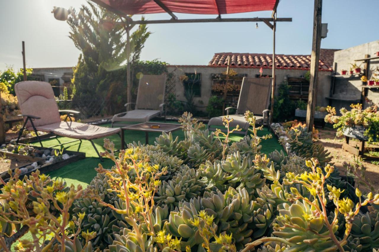 Entre Vides Valle De Guadalupe Dış mekan fotoğraf
