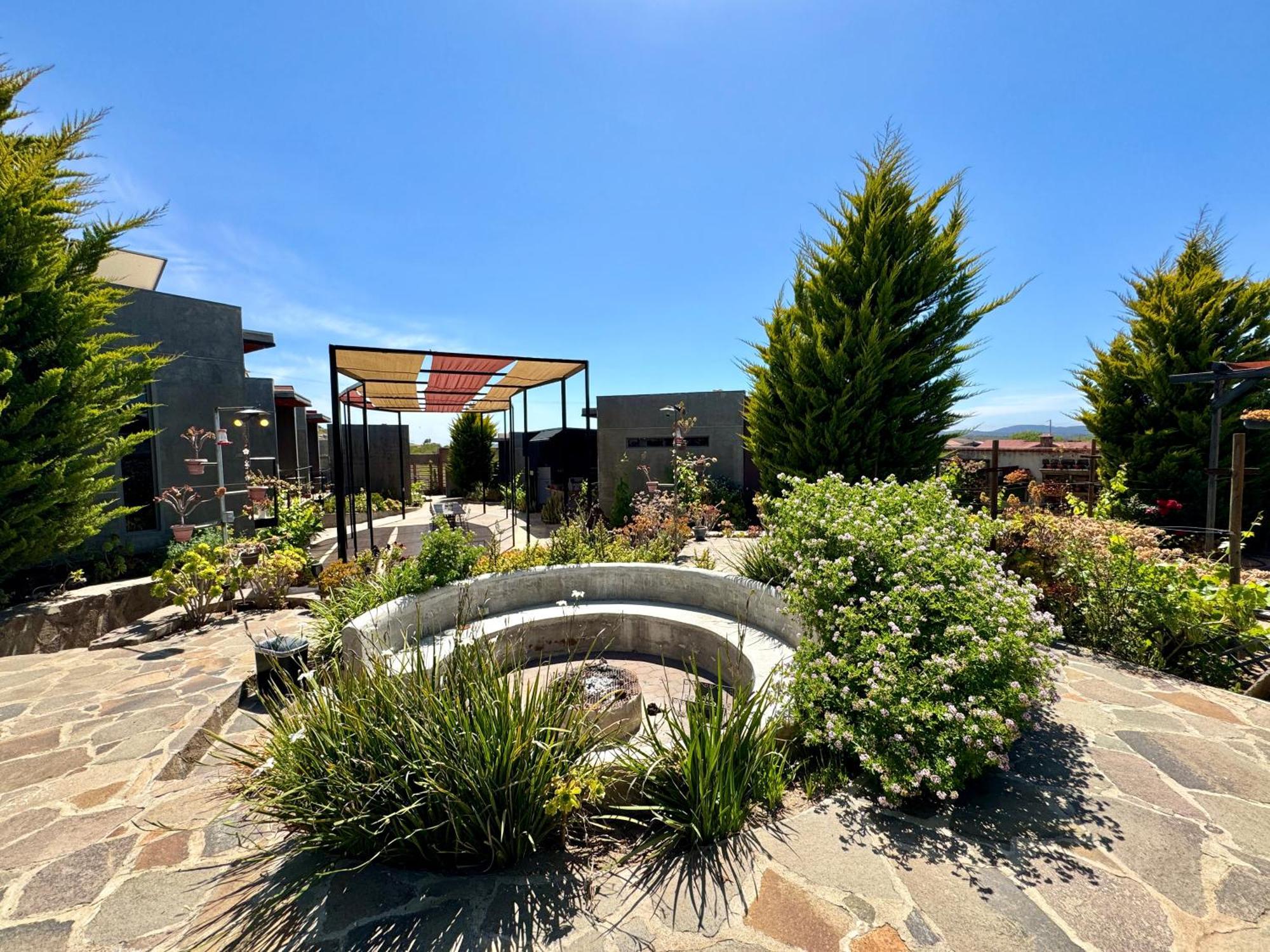 Entre Vides Valle De Guadalupe Dış mekan fotoğraf